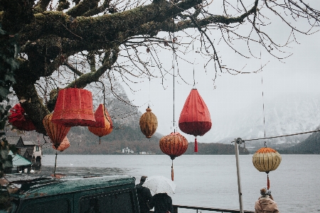 雪 冬 花 湖 写真