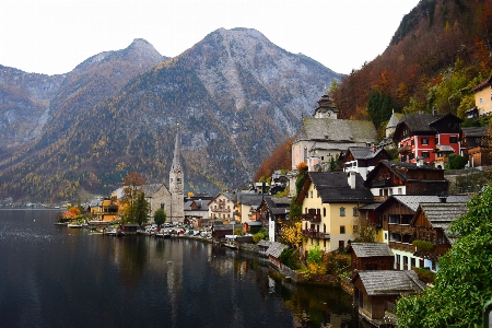 Landscape mountain flower lake Photo