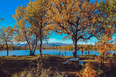 Tisch landschaft baum zweig Foto