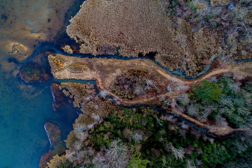 Eau lac faune stream