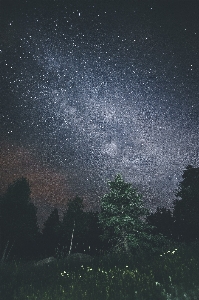 Sky night star milky way Photo