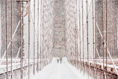 Tree walking snow winter Photo