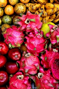 Plant fruit flower petal Photo