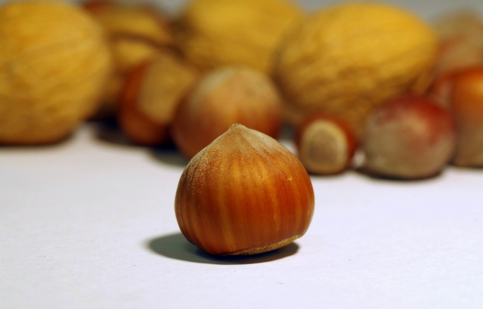 Naturaleza planta fruta alimento