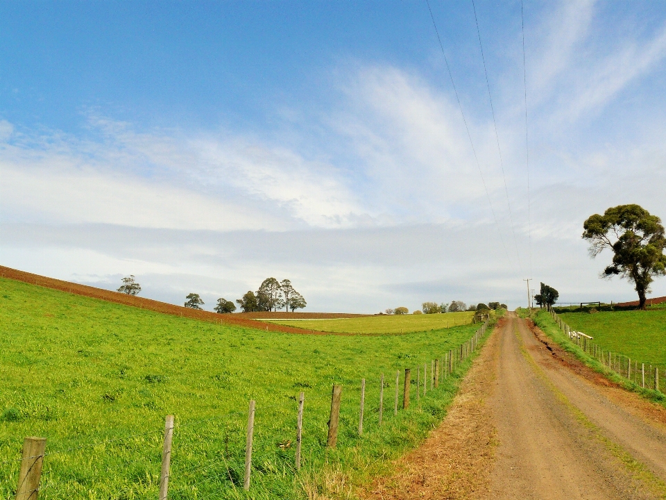 Landschaft natur weg gras