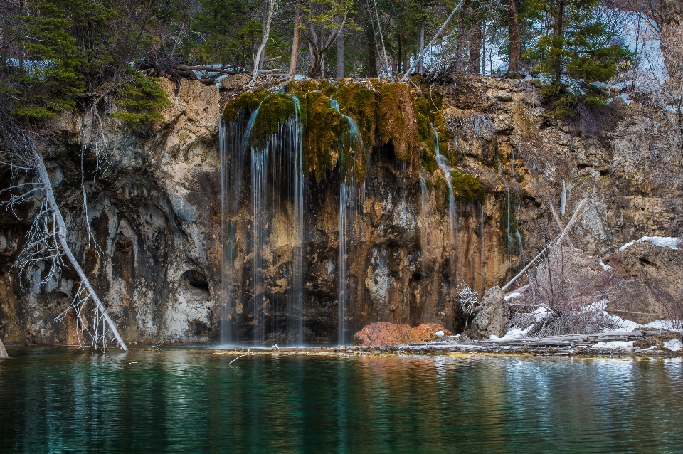 Baum wasser rock wasserfall