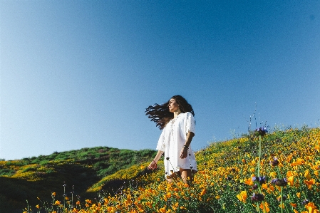 Plant sky woman field Photo