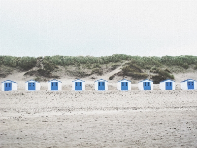 海滩 海 海岸 水 照片