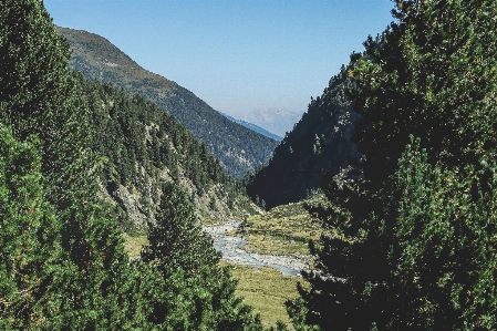 Landscape tree mountain trail Photo