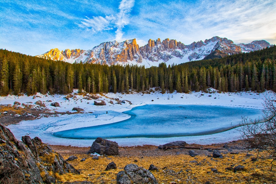 Paesaggio albero natura selvaggia
 montagna