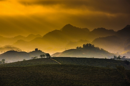 Landscape tree nature horizon Photo