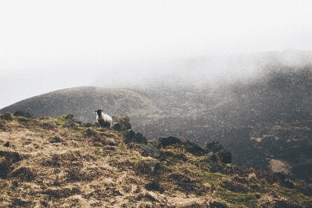 Landscape rock walking mountain Photo