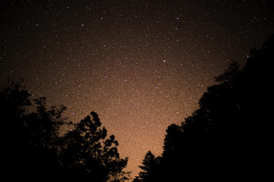 空 夜 星 雰囲気