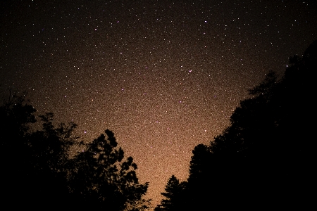 Sky night star atmosphere Photo