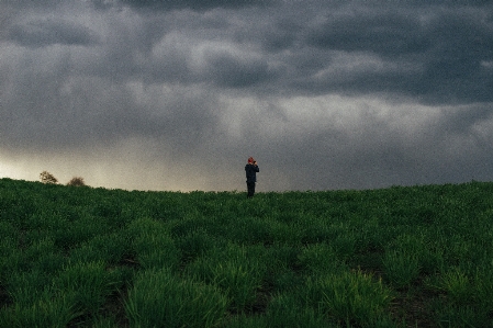 Nature grass horizon cloud Photo