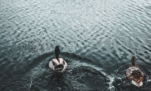 Meer wasser welligkeit spritzen Foto