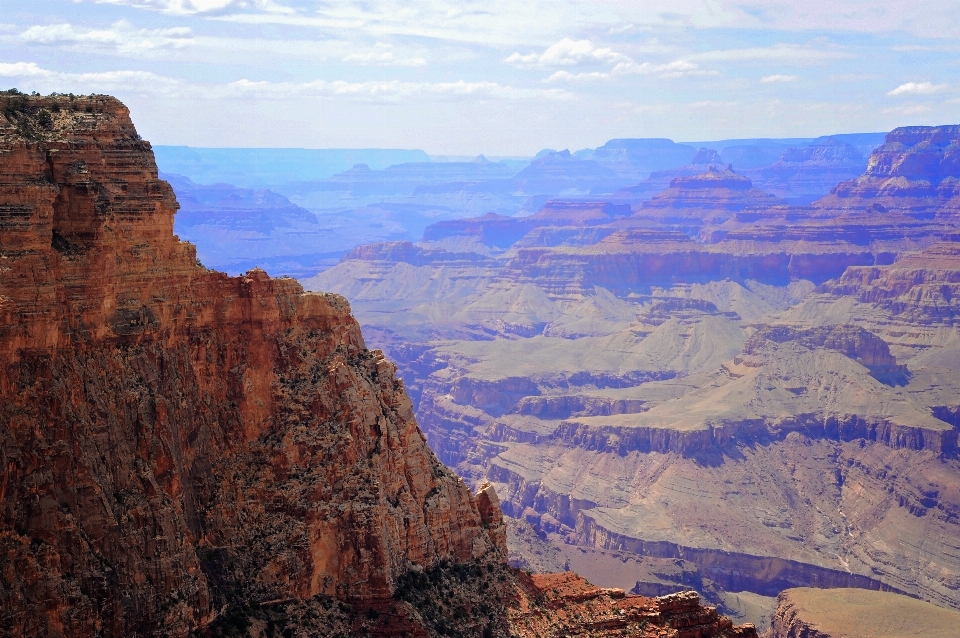 Paysage arbre nature rock