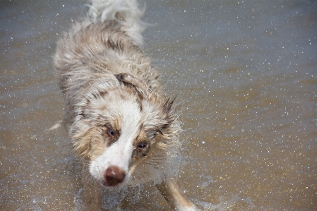 Beach water nature sand Photo