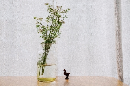 Table branch plant vase Photo