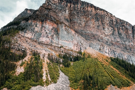 Landscape tree rock wilderness Photo