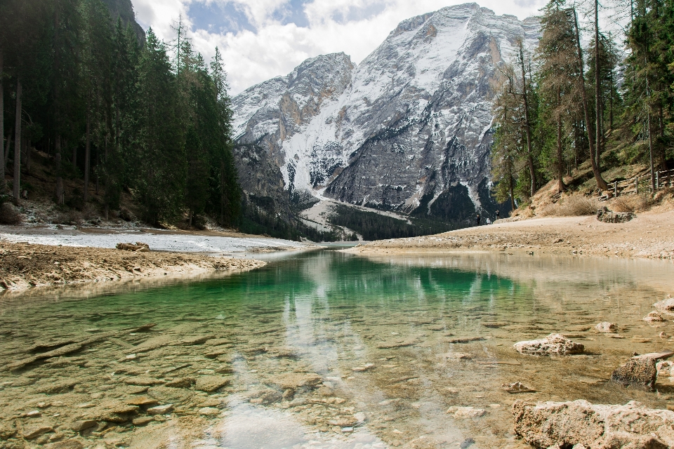 Paesaggio albero acqua rock