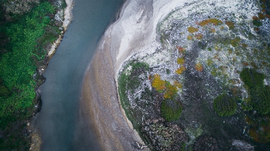 Landscape tree water rock Photo