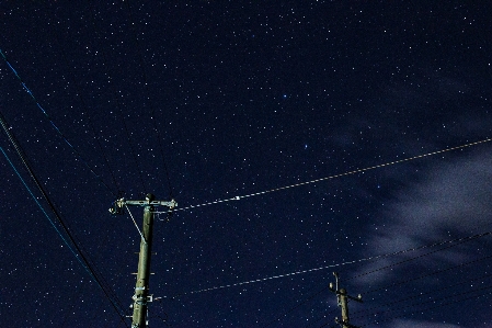 Baum himmel nacht stern Foto