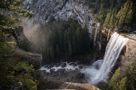 Landscape tree water nature Photo