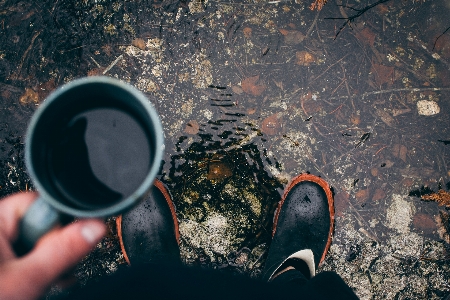 Tree water coffee sky Photo