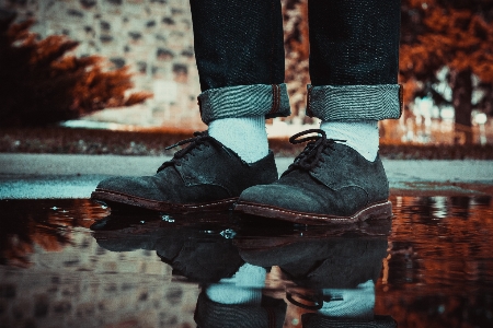 Foto Albero acqua scarpa ragazza