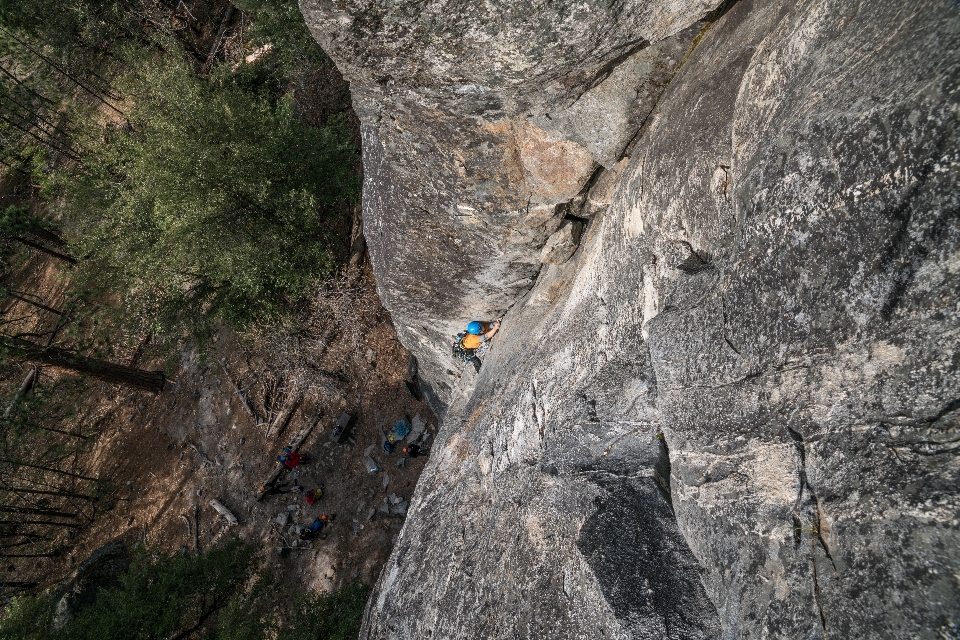 árvore rock aventura lazer