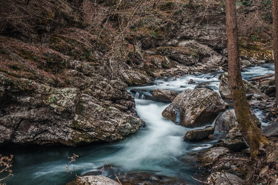 Paisaje árbol agua naturaleza