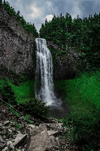 Landscape tree water nature Photo