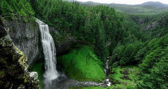 Landscape tree water nature Photo