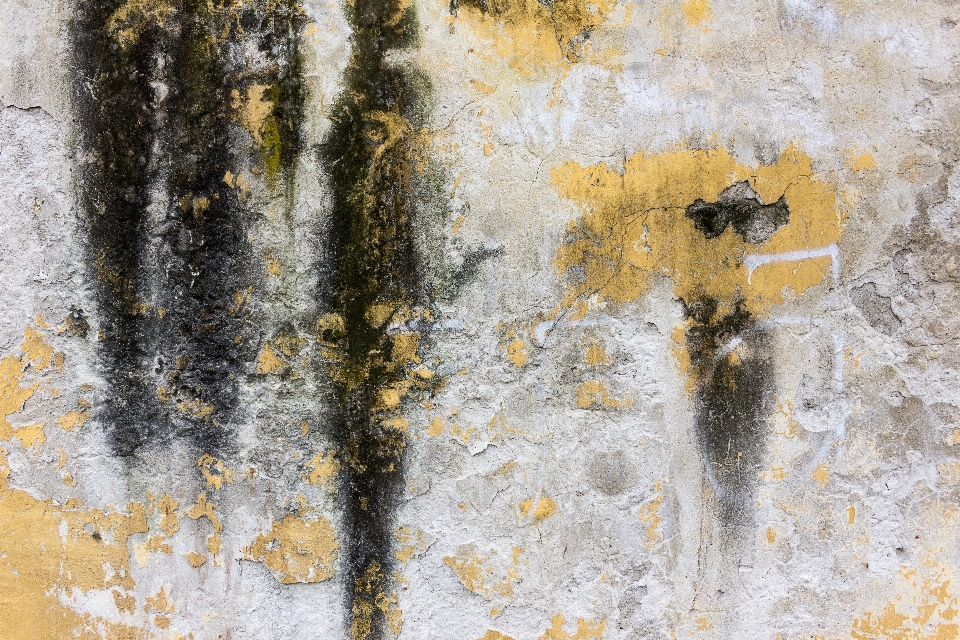 Water texture wall paint