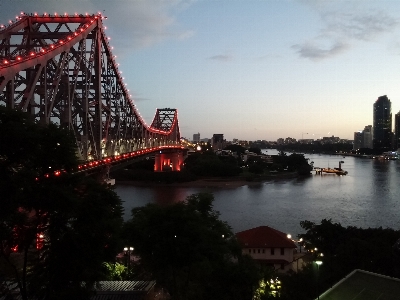 木 空 日没 橋 写真