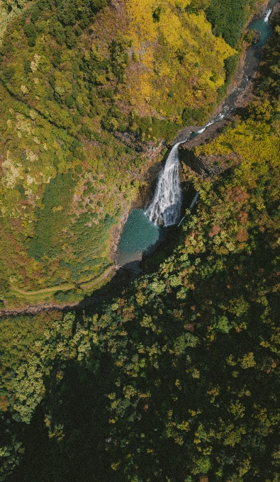 Landschaft baum wasser natur