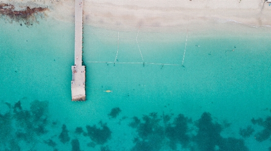 Beach sea water ocean Photo