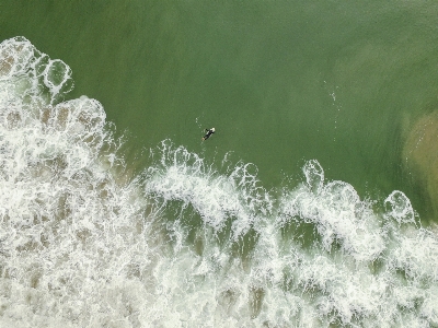 Sea water grass ocean Photo