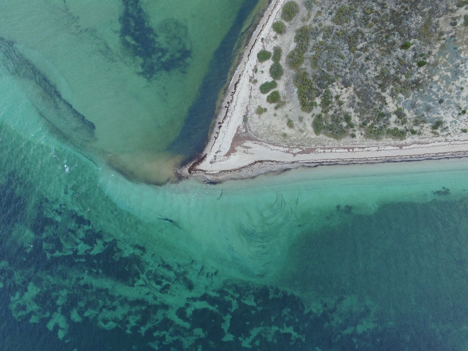 Mare acqua oceano onda