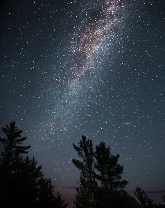 木 自然 空 夜 写真