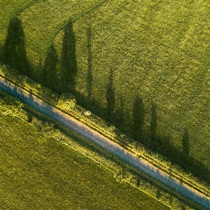 Landscape tree grass sky Photo