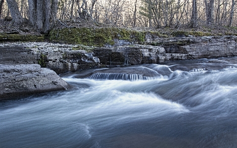 風景 木 水 自然 写真