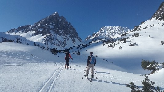 Foto árbol montaña nieve invierno