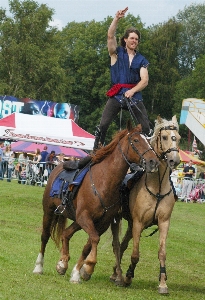 Grass show ranch horseback Photo