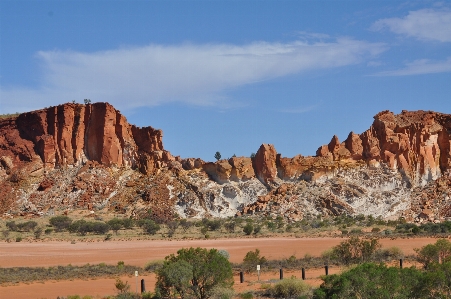 Landscape tree rock wilderness Photo