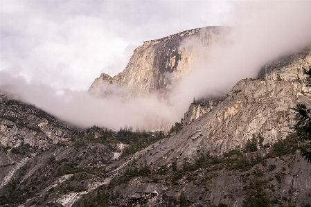 Landscape tree rock wilderness Photo