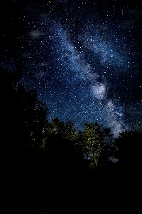 風景 木 自然 空 写真