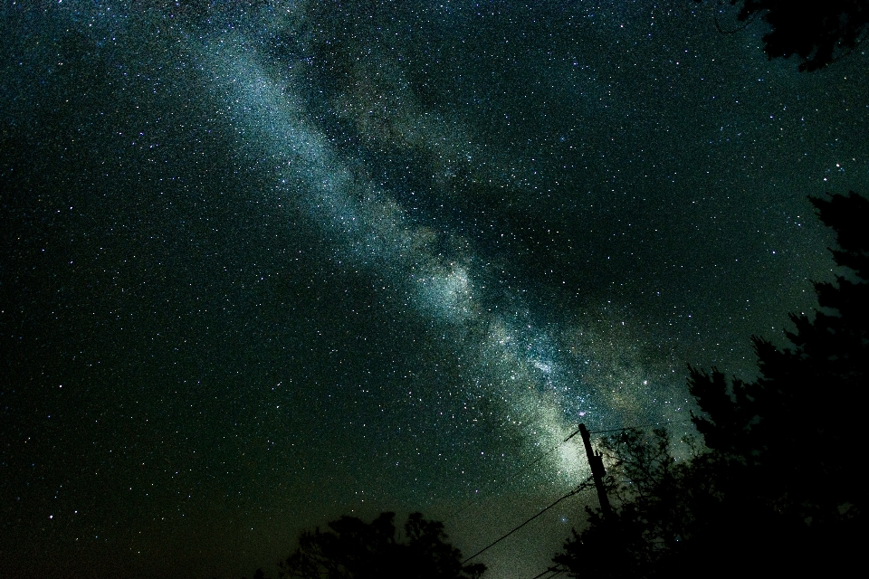 木 自然 空 夜