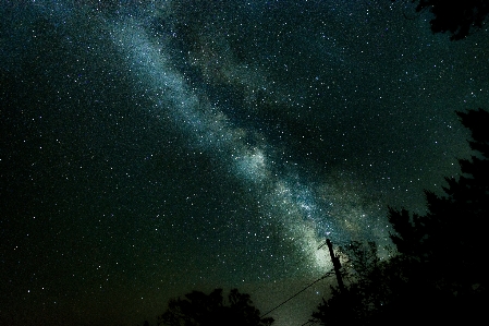 木 自然 空 夜 写真